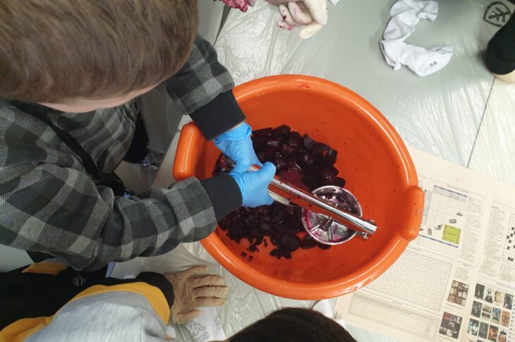 tintura con rape rosse